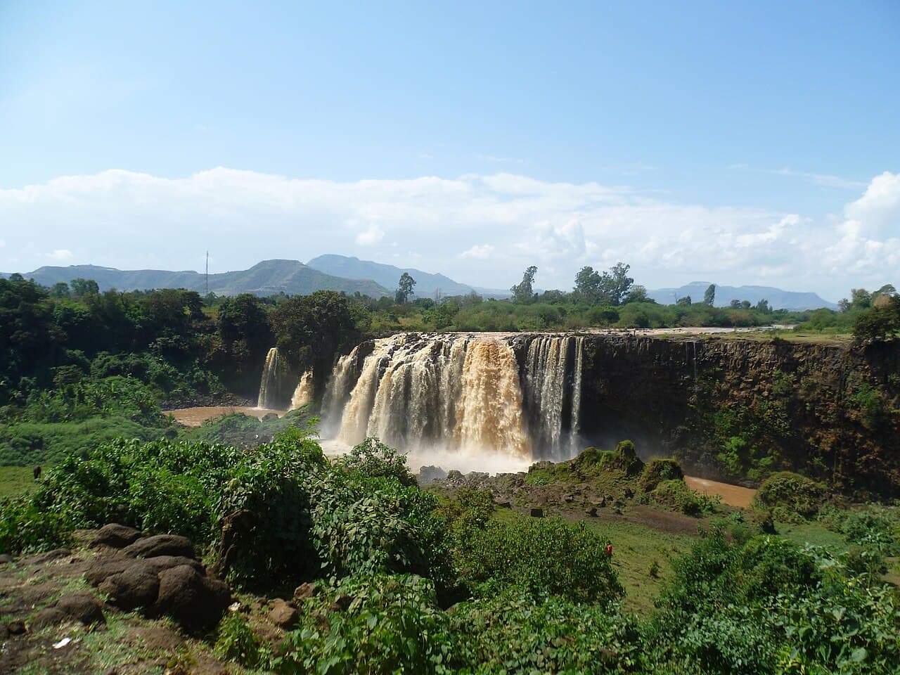 Blue Nile Falls pouring over a dark basalt cliff into green bush under a blue sky