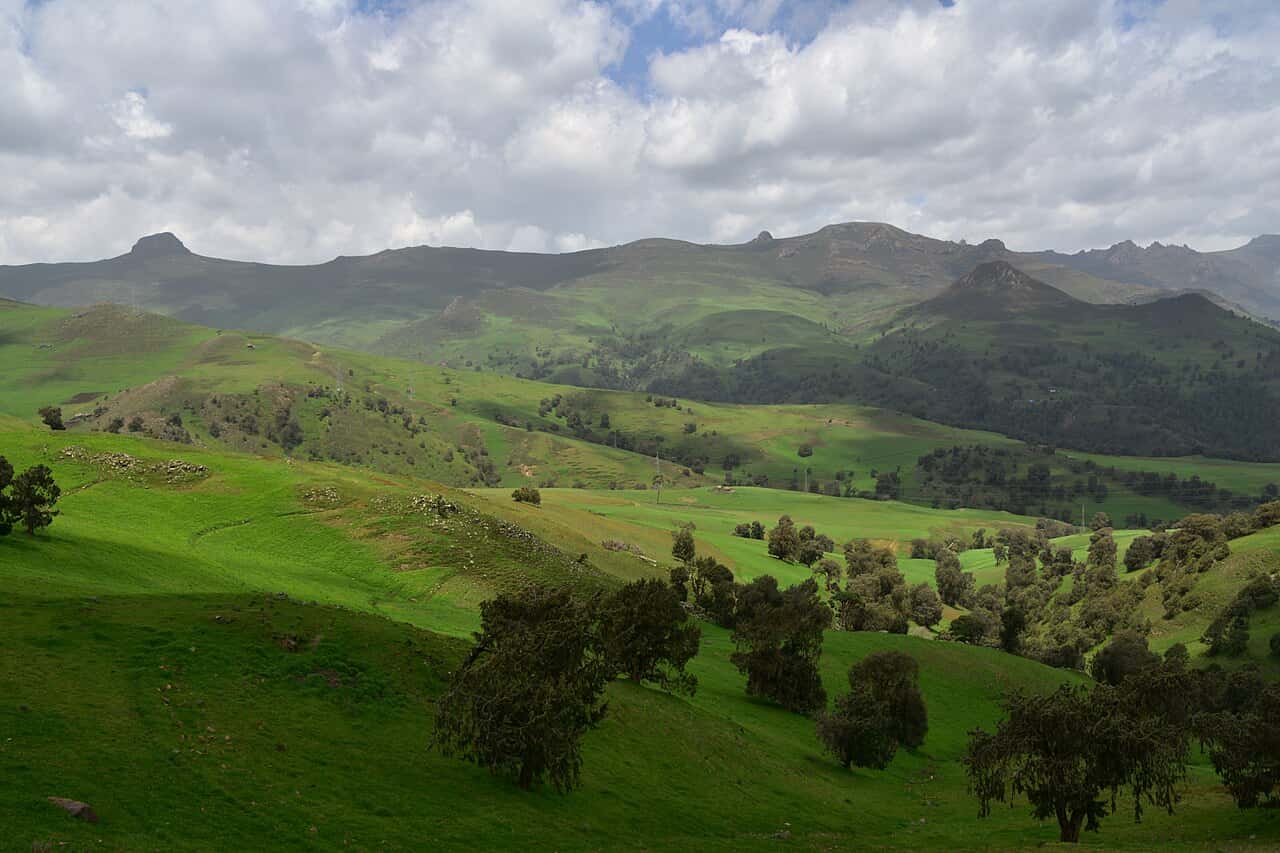 Green rolling hills and scattered trees below the ridges of the Bale Mountains