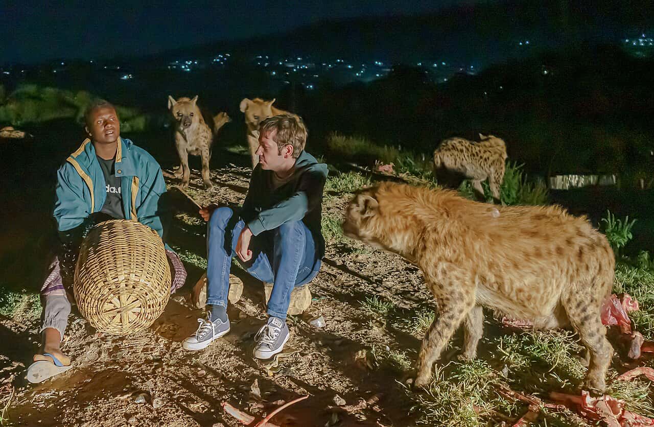 A hyena man and a visitor sit as wild spotted hyenas gather at the evening feeding in Harar