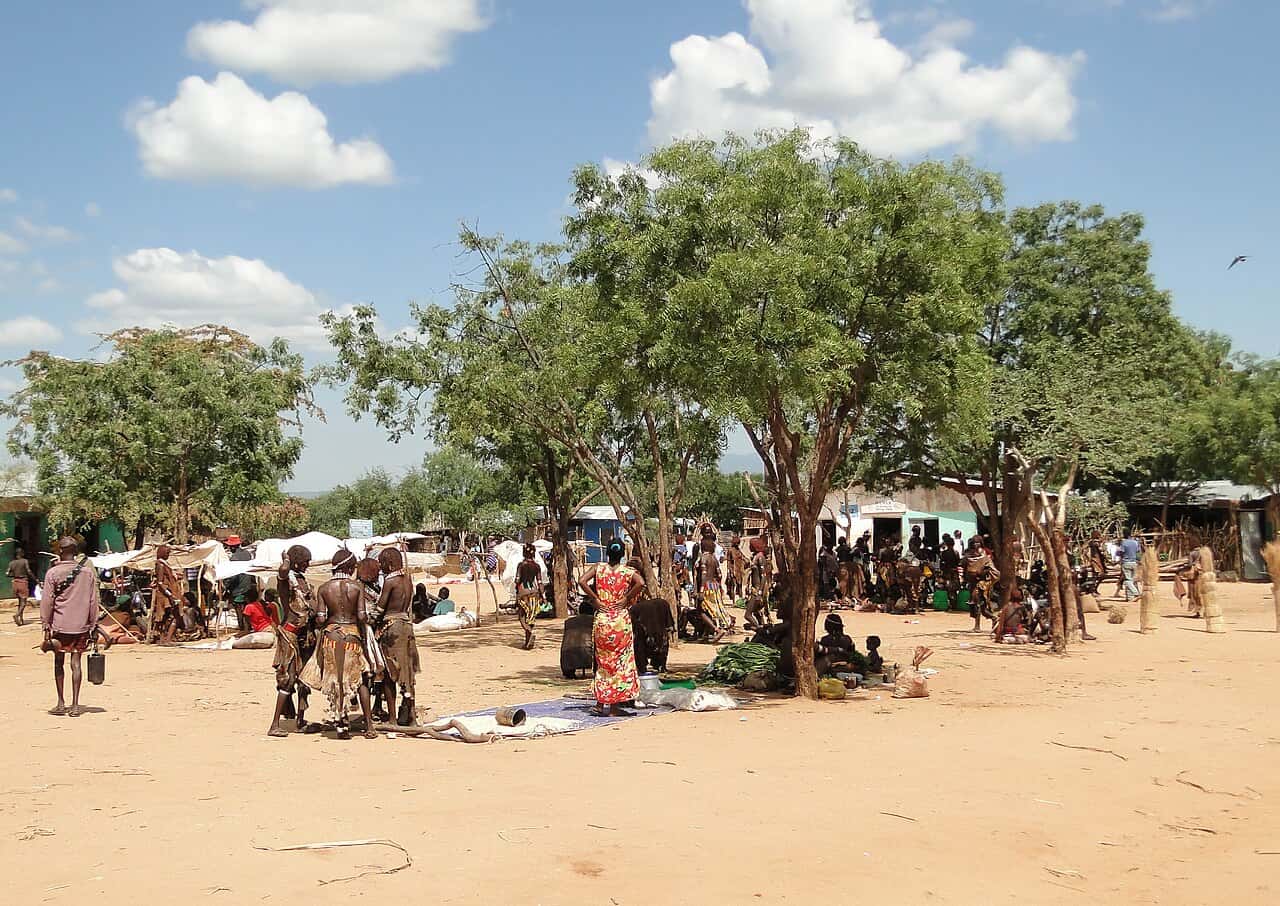 Traders and shoppers gathered under shade trees at the market in Turmi