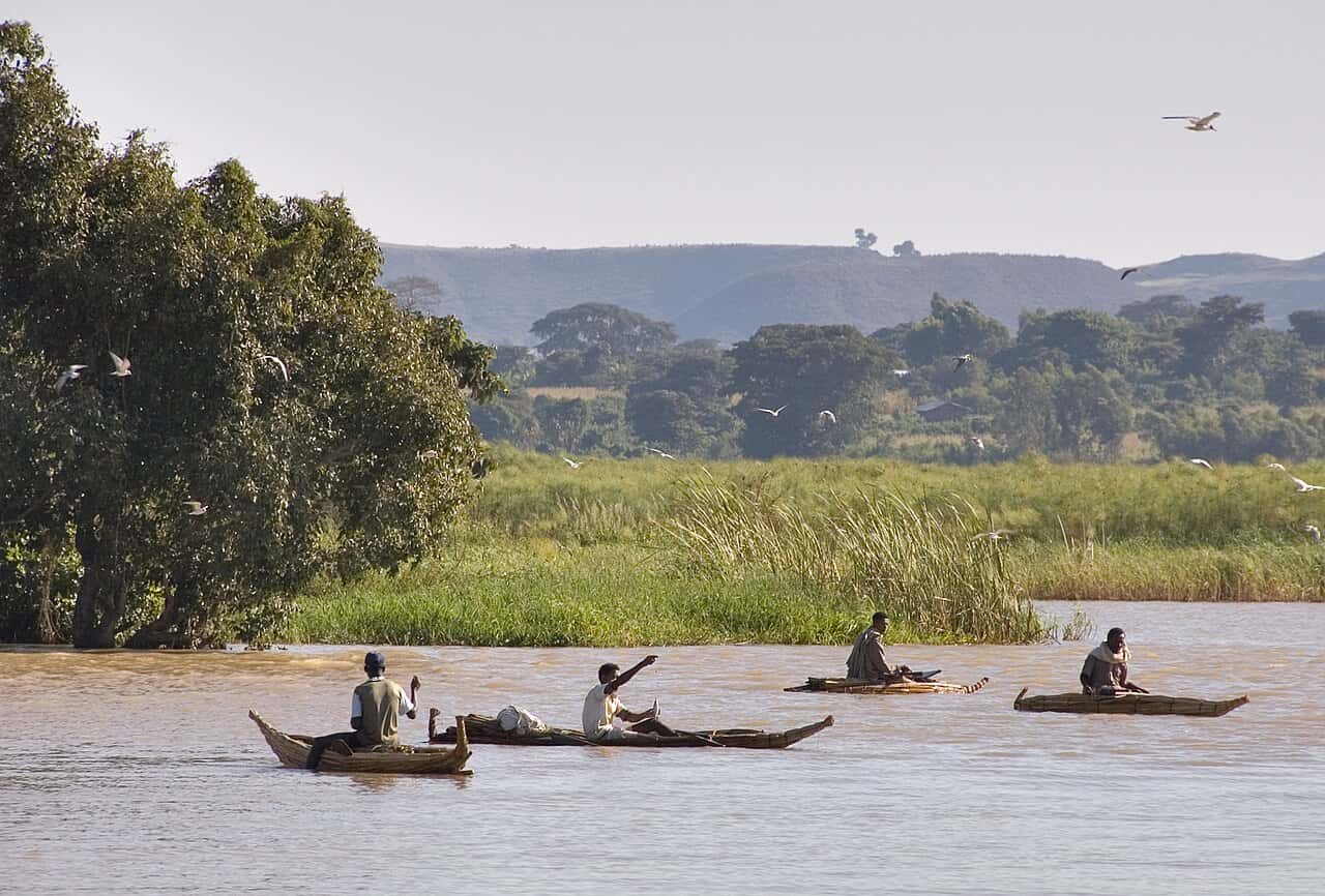 Fishermen in papyrus tankwa boats on Lake Tana near the source of the Blue Nile