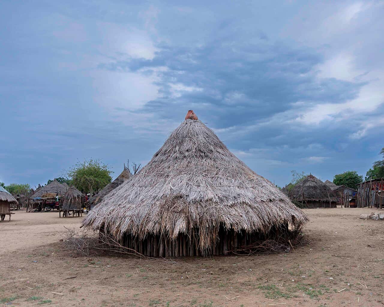 Thatched huts in the Karo village of Korcho in the Omo Valley