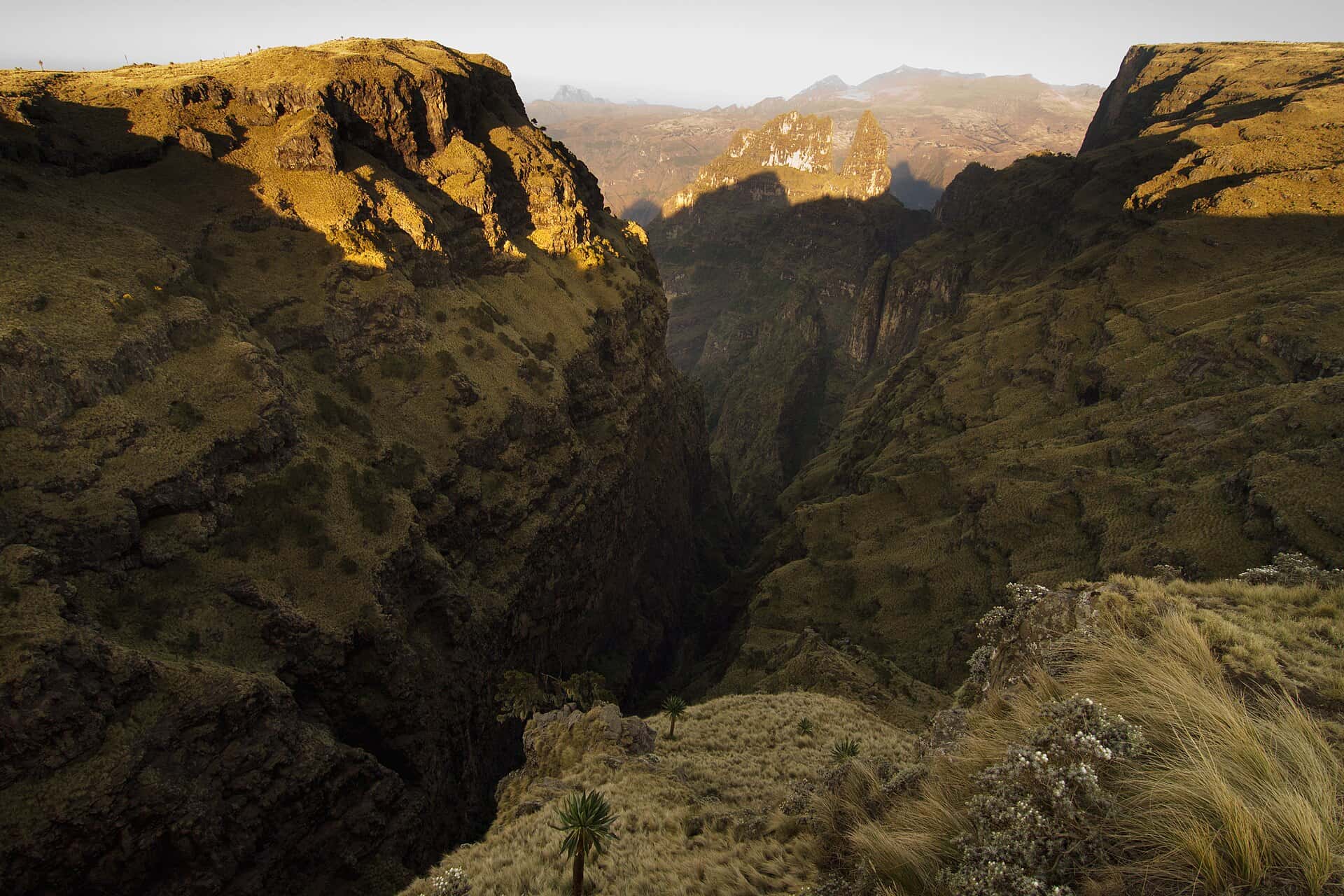 Deep gorge and cliffs of the Simien Mountains in warm light